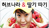 [YC001]õ����� ������ ��곪�� & ������ ���� ���� (����)