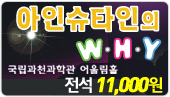 [����11,000��]���ν�Ÿ�� W.H.Y