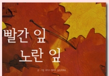 ���䰶���� �̹���