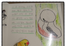 䰶 ̹