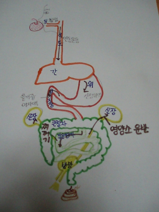 Ã¥À» Àо ÈÄ ¾ÆÀÌ¿¡°Ô ¼ÒȵǴ °úÁ¤À» ±×¸²À¸·Î ±×·Áº¸¶ó°í Ç߳׿ä