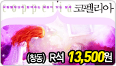 [R��13,500��]�ؼ��� �ִ� �߷� ���縮��(â��)