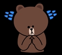 brown_and_cony-21