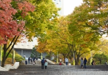 䰶 ̹