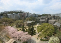 Æ÷Åä°¶·¯¸® À̹ÌÁö